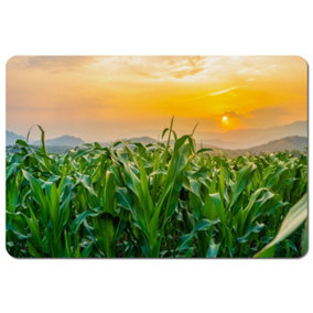 green corn field in agricultural garden and light shines sunset (Placemat) / Default Title