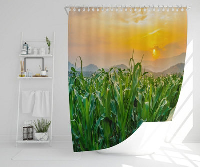 green corn field in agricultural garden and light shines sunset (Shower Curtain) / Default Title