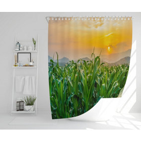 green corn field in agricultural garden and light shines sunset (Shower Curtain) / Default Title