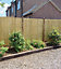 Green Feather Edged Fencing Boards - Pack of 10 (L)30cm/12inches x (W)150mm/6inches x (T)11mm Pressure Treated