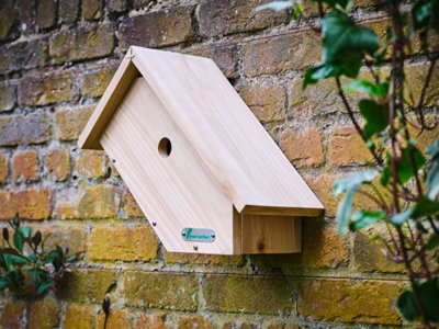 Green Feathers Handmade Wooden Side View Bird Box - H37.5 x W20 x L17 cm