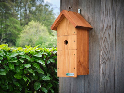 Green Feathers Large Handmade Wooden Bird Box - H47 xW25 x L19 cm