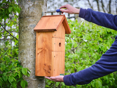 Green Feathers Large Handmade Wooden Bird Box - H47 xW25 x L19 cm