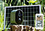 Green Feathers Solar Powered WiFi Bird Box & Wildlife Full HD Camera