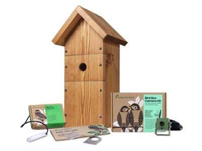 Green Feathers WiFi Full HD Camera and Large Wooden Bird Box Complete Pack