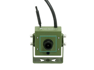 Green Feathers Wifi Full HD Camera and Wooden Hedgehog House Pack