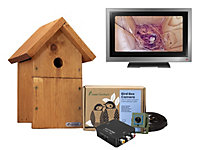 Green Feathers Wired Connection 1080p HD Camera and Small Wooden Bird Box Starter Pack