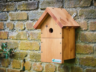 Green Feathers Wired Connection 1080p HD Camera and Small Wooden Bird Box Starter Pack - 3
