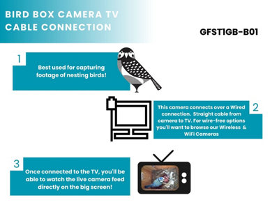 Green Feathers Wired Connection 1080p HD Camera and Small Wooden Bird Box Starter Pack - 9