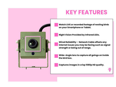 Green Feathers Wired Network 1080p HD Camera and Large Wooden Bird Box Starter Pack - 8