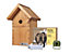 Green Feathers Wireless Transmission Camera and Small Wooden Bird Box Starter Pack