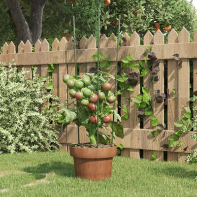 GREEN GARDEN PLANT SUPPORTS WITH 3 RINGS 5 PCS 60 CM STEEL