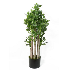 Green Jade Plant 75cm Extra Large Realistic