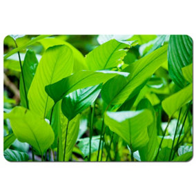 Green leaf background abstract of nature (Placemat) / Default Title