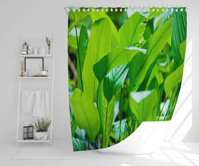 Green leaf background abstract of nature (Shower Curtain) / Default Title Price Comparisons | Compare The Build
