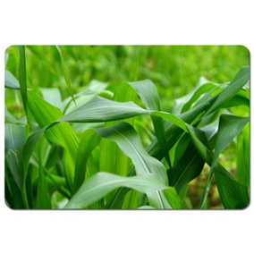 Green Leaves corn fields as background (Placemat) / Default Title