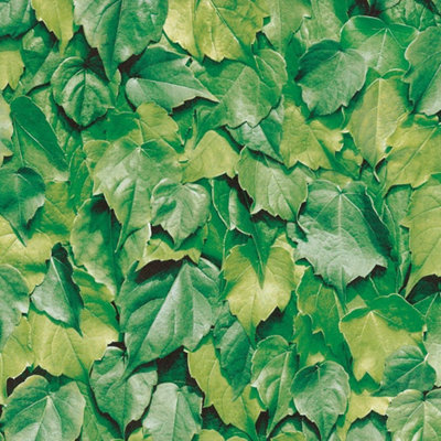 Green Leaves Natural Self-Adhesive Vinyl Decor DIY Arts Craft Furniture Wall