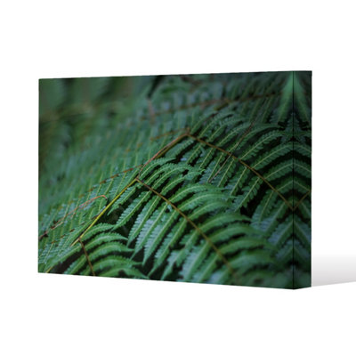 green leaves pattern and texture at Indonesia (Canvas Print) / 101 x 77 x 4cm