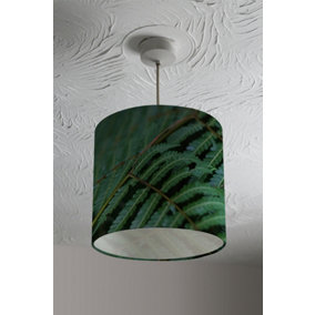green leaves pattern and texture at Indonesia (Ceiling & Lamp Shade) / 25cm x 22cm / Ceiling Shade