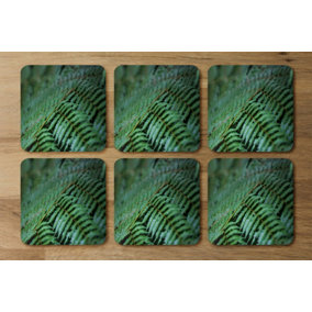 green leaves pattern and texture at Indonesia (Coaster) / Default Title