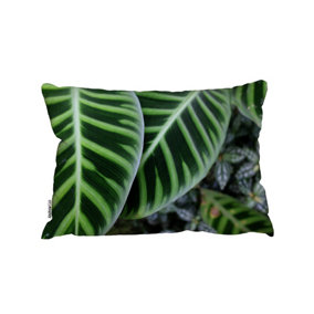 Green Leaves With White And Yellow Structure In Exotic Jungle Setting (Cushion) / 30cm x 45cm
