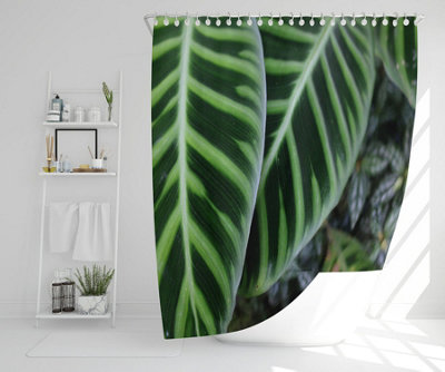 Green leaves with white and yellow structure in exotic jungle setting (Shower Curtain) / Default Title