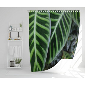 Green leaves with white and yellow structure in exotic jungle setting (Shower Curtain) / Default Title