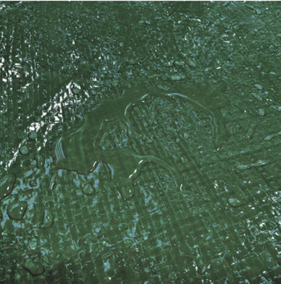 Green M-Grade Tarpaulin 1.5m x 2m