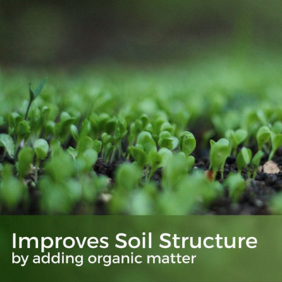 Green Manure Year Round Mix 150g - 4