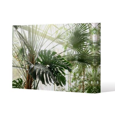 Green plants in botanical garde (Canvas Print) / 152 x 101 x 4cm