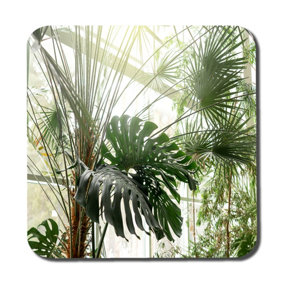 Green plants in botanical garden (Coaster) / Default Title