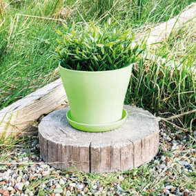 Green Plastic Plant Pot - Weatherproof Colourful Home or Garden Planter with Drainage Holes & Saucer - H10.5 x 9cm Diameter