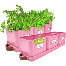 Green Thumbz Herb Pots for Kitchen Windowsill - 2 Pack Pink Herb Planter Indoor with Leather Handled Tray - Ideal for an Indoor He