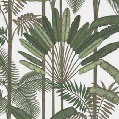 Green Tropical Leaf Vinyl Wallpaper Jungle Palm Tree Botanical Modern Wall