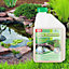 Greena All-Natural Pond Algae Treatment 500ml - Pack of 2 - Treat up to 25,000 Litres