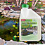 Greena All-Natural Pond Sludge Remover 500ml - Pack of 2 - Treat up to 25,000 Litres