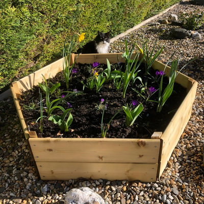 Greena Hexagonal Raised Bed 30 cm High, 60cm each side