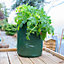 Greena Reusable Potato Planter Bag
