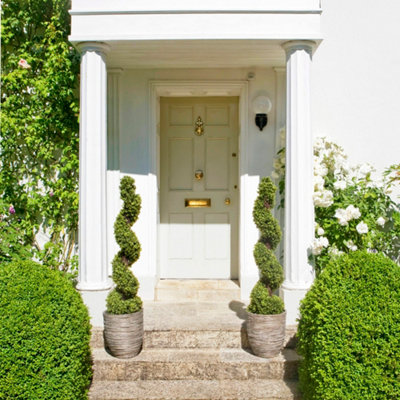 GreenBrokers 2 x Artificial Boxwood Spiral Trees 120cm/4ft - 5