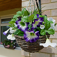 GreenBrokers 2 x Purple & White Petunias Hanging Baskets