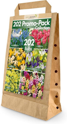 greenbrokers-202-bulb-bee-