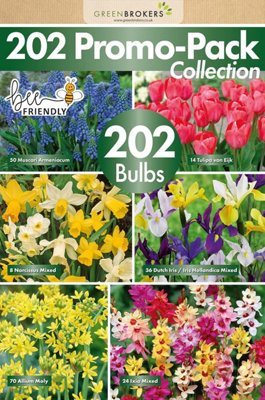 GreenBrokers 202 Bulb Bee-Friendly Flower Mix, Spring Garden Pack