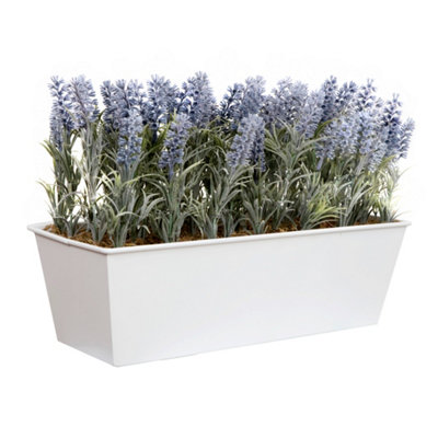 GreenBrokers Lavender in White Tin Planter (Window Box) 45cm