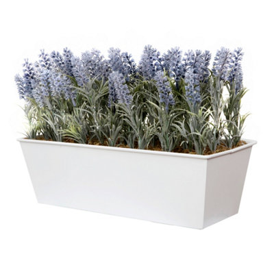 GreenBrokers Lavender in White Tin Planter (Window Box) 45cm