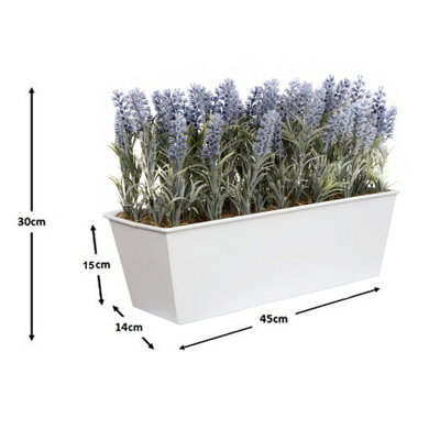 GreenBrokers Lavender in White Tin Planter (Window Box) 45cm - 3