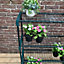 Greenhouse Staging Shelving Racking 4 Tier