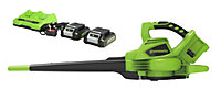 Greenworks 48V (2 x 24V) Blower & Vacuum