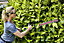 Greenworks Tools 24V Hedge Trimmer 56cm (22") with rotating handle includes 2Ah battery & charger