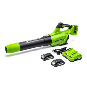 Greenworks Tools 48V (2 X 24V) Axial Blower includes 2 x 2Ah batteries & charger