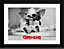 Gremlins Gizmo 30 x 40cm Framed Collector Print